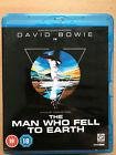 The man who fell to earth