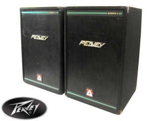 Paire enceinte eurosys 2