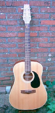 Guitare acoustique vs 15