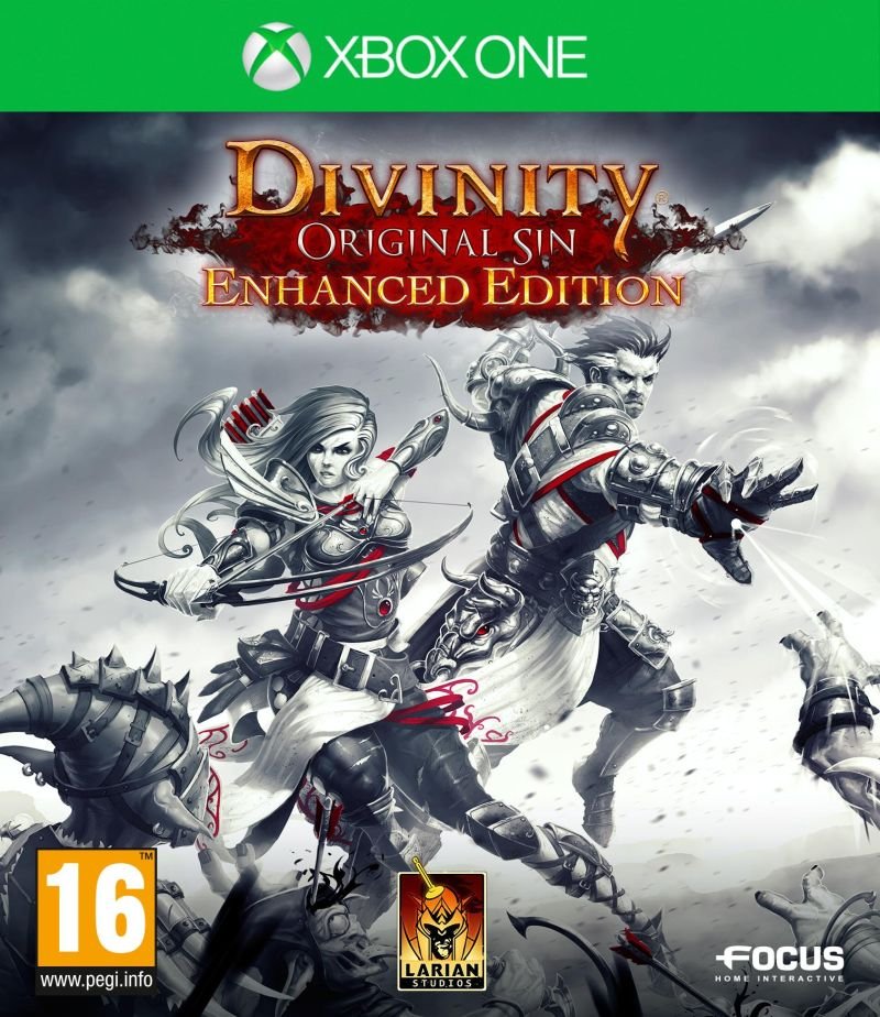 Jeu divinity : original sin - enhanced edition