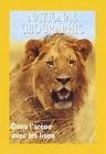 National geographic - dans l'arene avec les lions