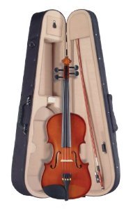 Violon axl-65vn