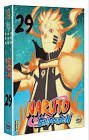 Naruto shippuden - vol. 29