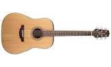 Guitare gd20-ns