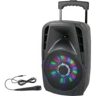 Enceinte portable 8" usb bt fm -8led
