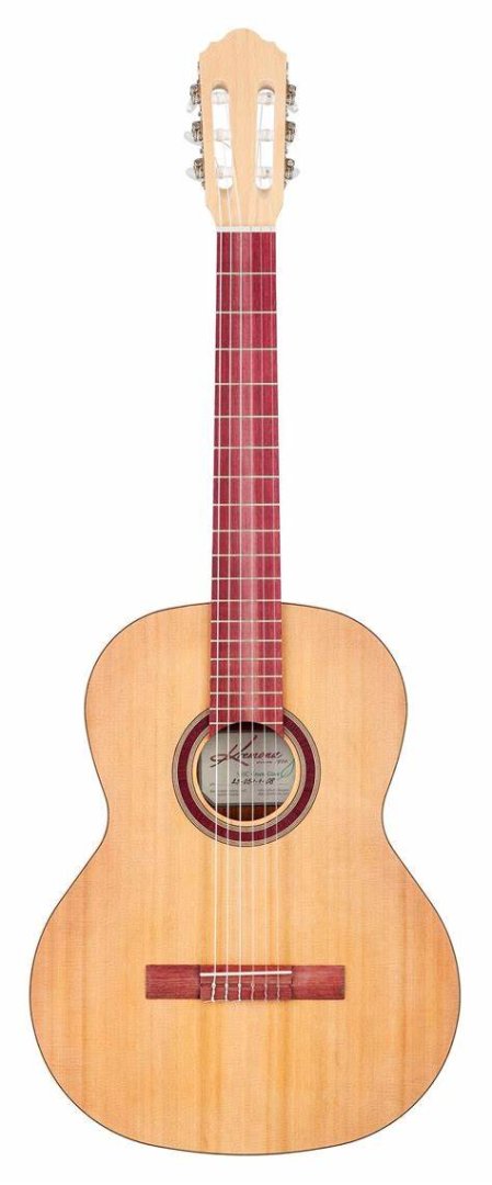 Guitare s65c