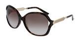 Lunettes gg0076s