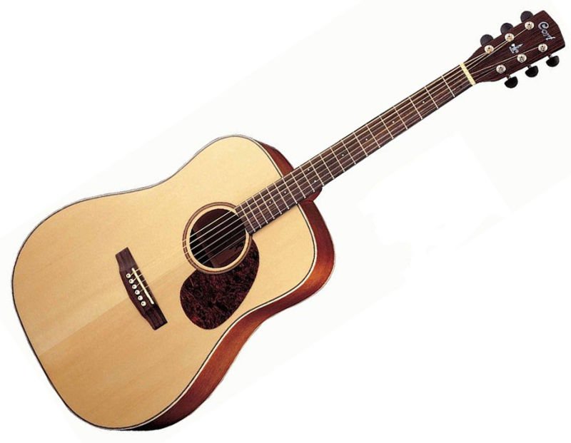 Guitare earth 100 ns
