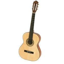Guitare delson