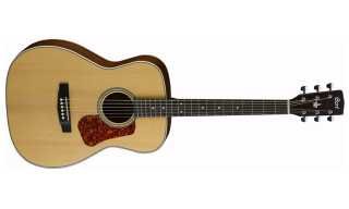 Guitare l100c ns