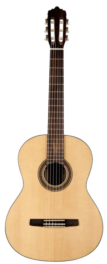 Guitare vee-101