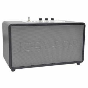 Enceinte yp70