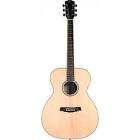 Guitare sga100