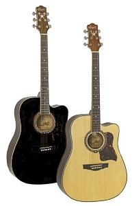 Guitare seche folk 41 dg220c-x na