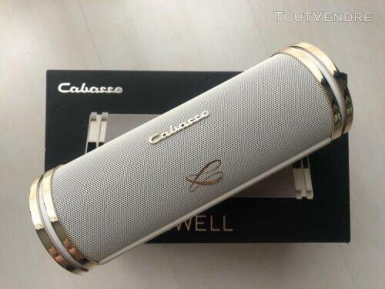 Enceinte bluetooth swell