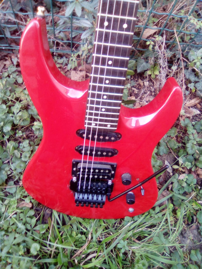 Guitare electrique rgx 312