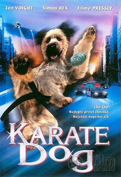 Karate dog - edition locative