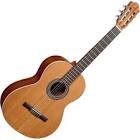 Guitare classic 5-nature