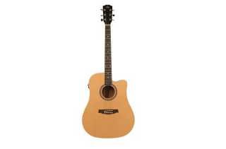 Guitare sd25