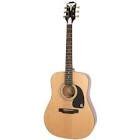 Guitare pro-1 na