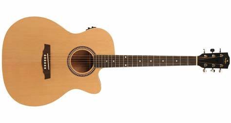 Guitare sa25