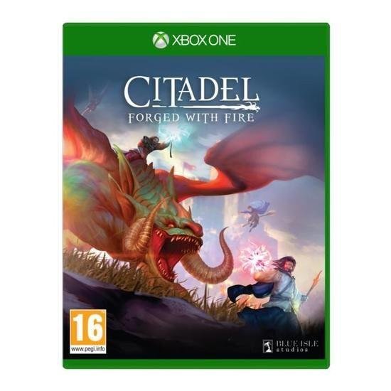 Jeu citadel : forged with fire