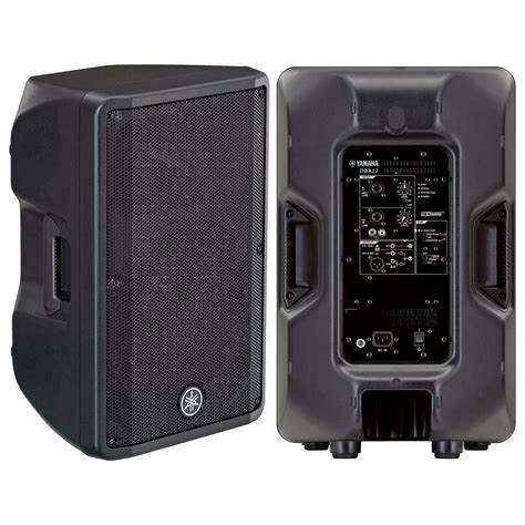 Enceinte amplifiee dbr12