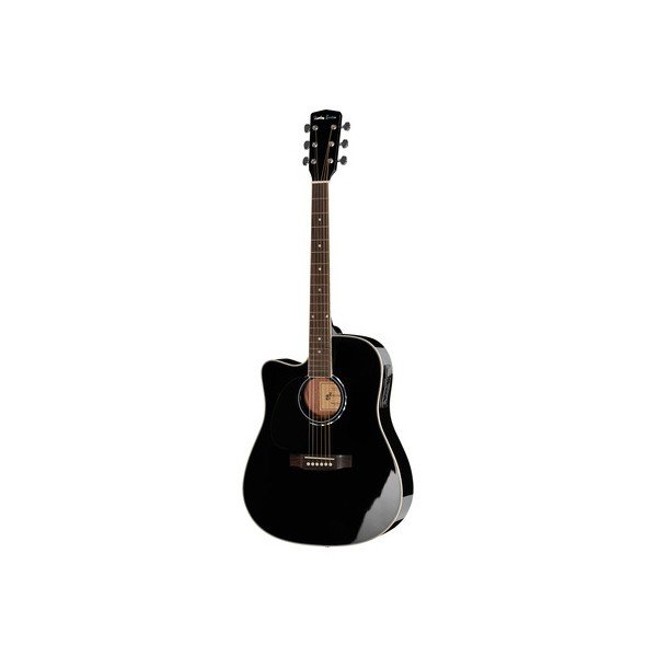 Guitare electro-acoustique d-120ce
