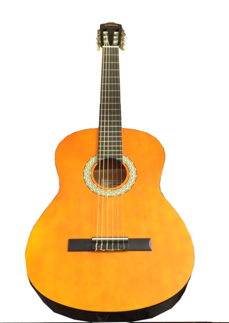 Guitare ag600