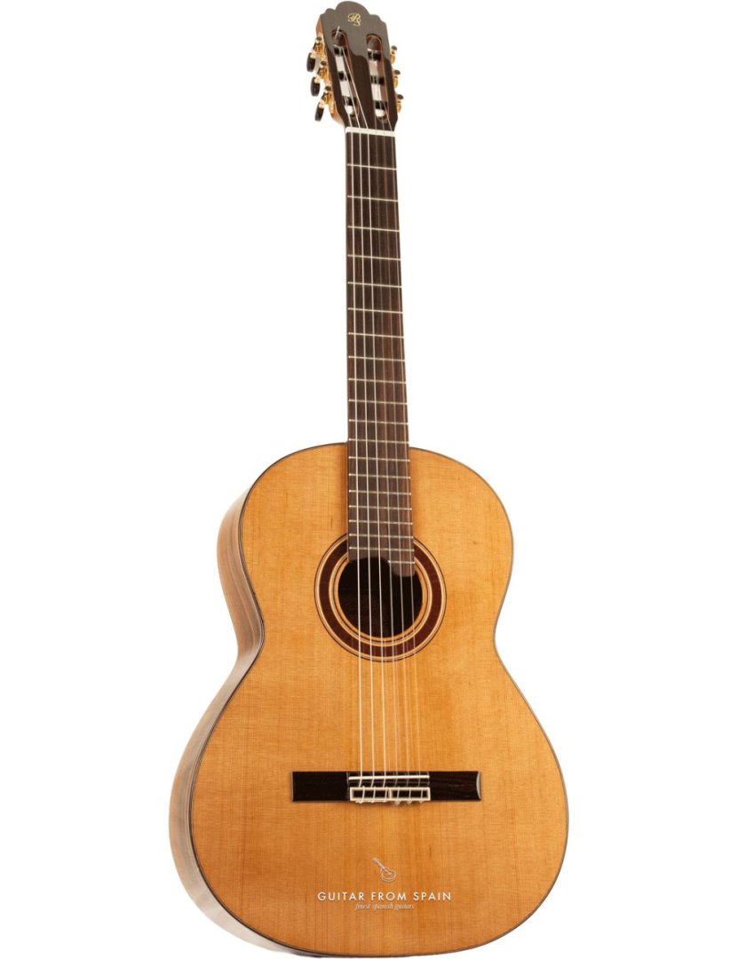 Guitare 61