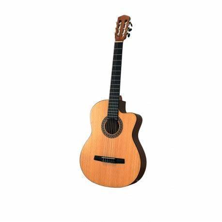 Guitare electro accoustique ndgc-1ce
