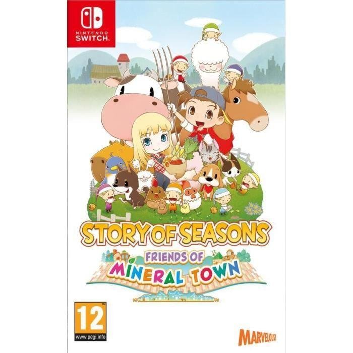 Jeu story of seasons: friends of mineral town