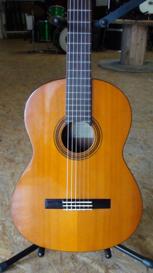 Guitare classique cg-110