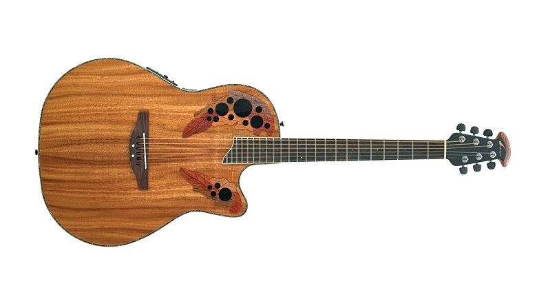Guitare celebrity cc24