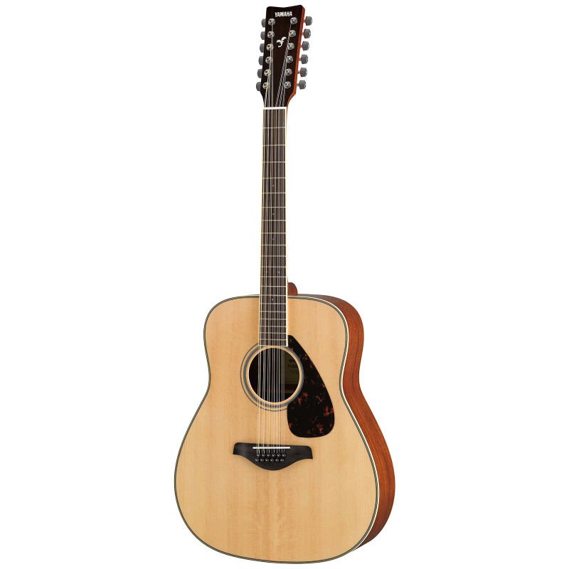 Guitare fg820l