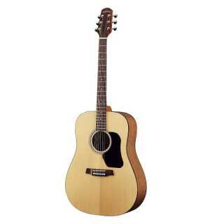 Guitare cg630ce