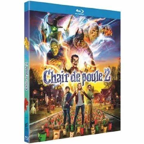 Chaire de poule 2