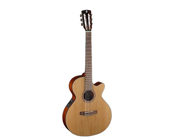 Guitare electro acoustique cec5 nat