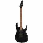 Guitare electrique rg421ex