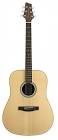 Guitare folk na 30