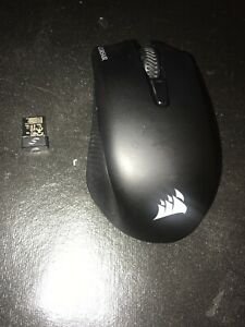 Souris rgp0075