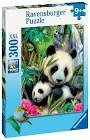 Puzzle 300 pieces