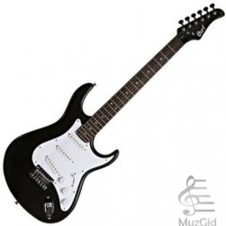 Guitare electrique g50