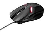 Souris ziva