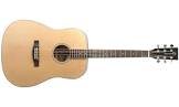 Guitare acoustique dr100-nat natural