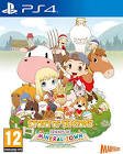 Jeu story of seasons : friends of mineral town