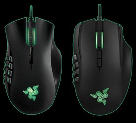 Souris filaire naga x