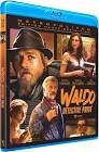 Waldo detective prive