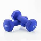 Halteres 2kg