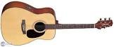 Guitare egs 240